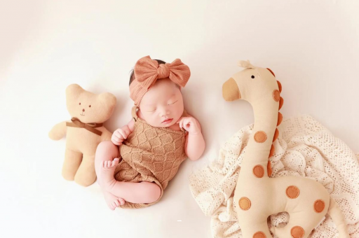 江西宝宝虾的做法